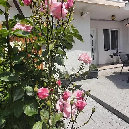 Апартаменты Holiday Home Констанца