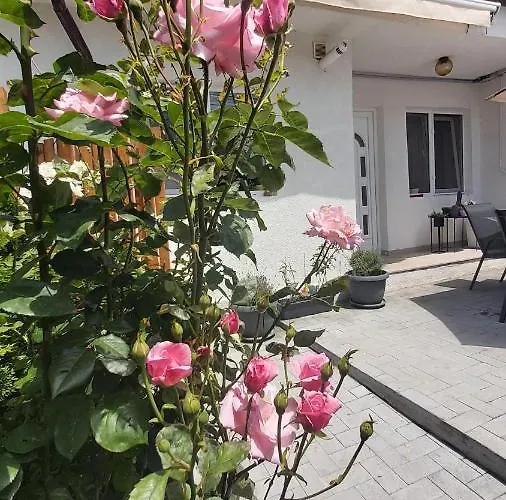 Daire Holiday Home Köstence